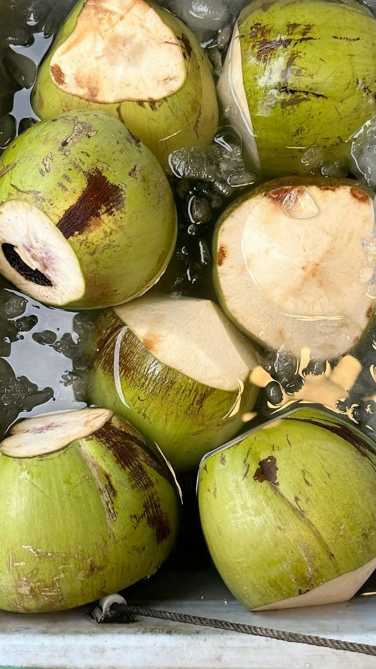 Noix de coco fraîche
